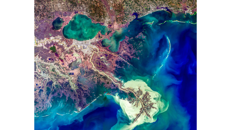 Satellite view of Mississippi Delta, Louisiana, USA