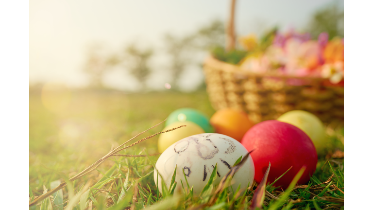 Easter eggs in the lawn with the rabbit-shaped eggs of a little girl