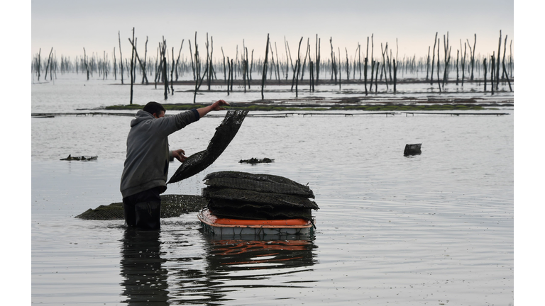 FRANCE-GASTRONOMY-ENVIRONMENT-INNOVATION-AQUACULTURE