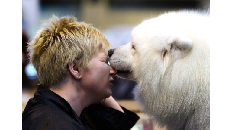 Dogs And Owners Gather For 2013 Crufts Dog Show