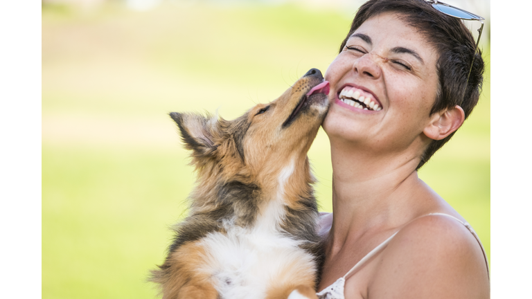 happiness concept with young beautiful laughing lady with short black hair and puppy dog shetland kissing her on the face with love and playful. friendship and together happy family alternative millennial