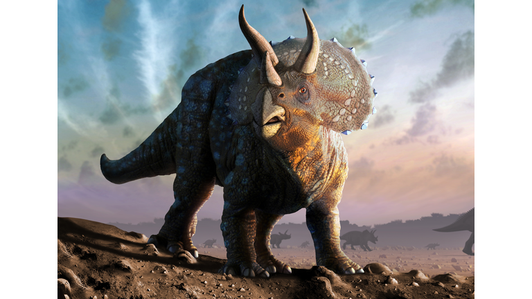 Artwork of a triceratops