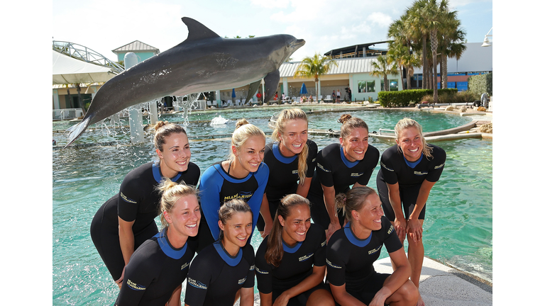 Dolphin Attacks Trainer During Miami Seaquarium Show