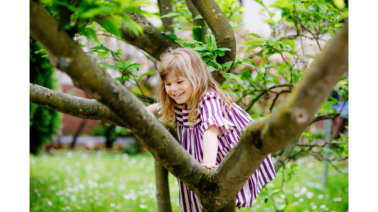 Little preschool girl climbing on tree on family backyard. Lovely happy toddler child hanging on magnolia tree, active games with children outdoors. Outdoor activity in park or garden