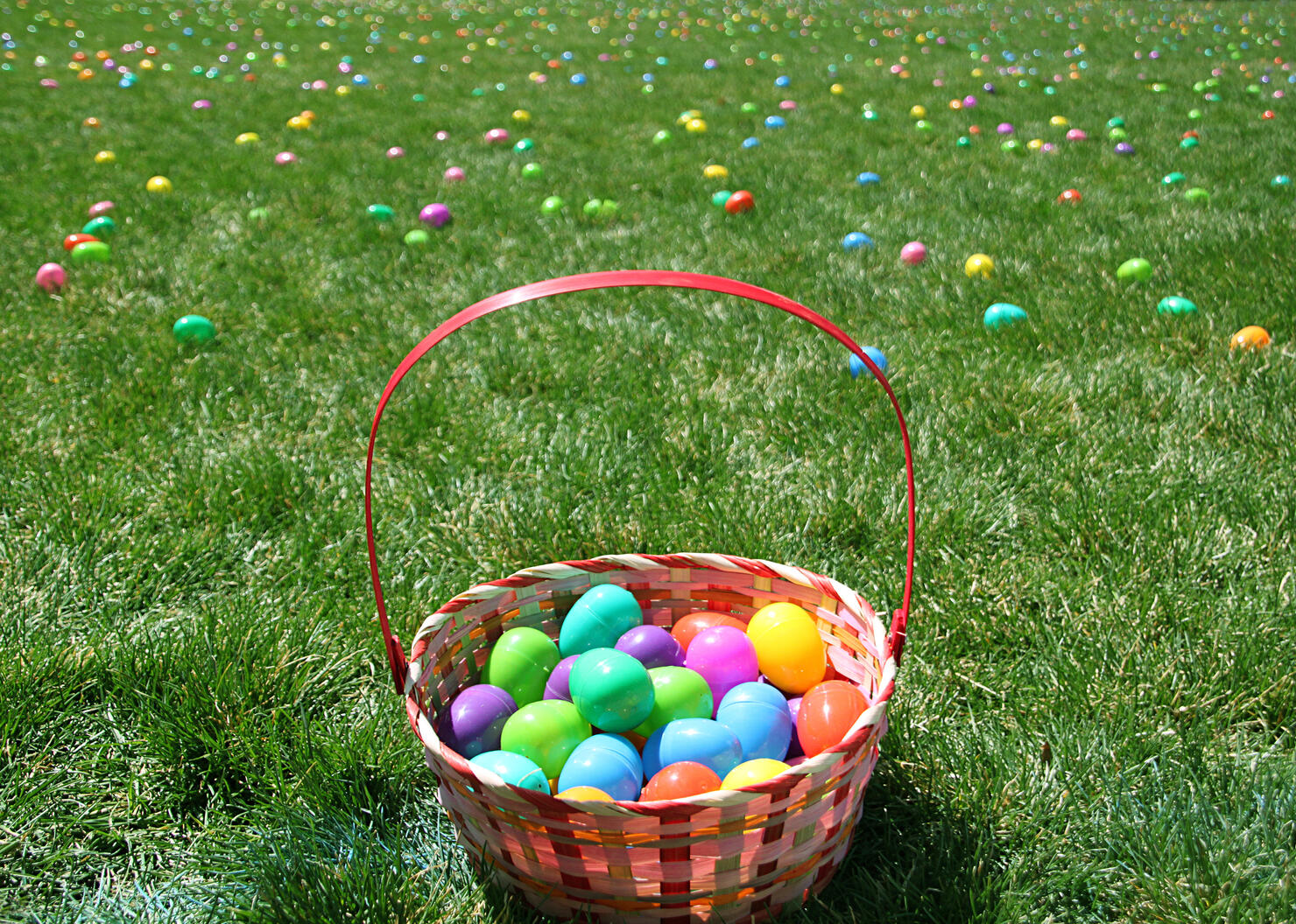 Egg Hunt