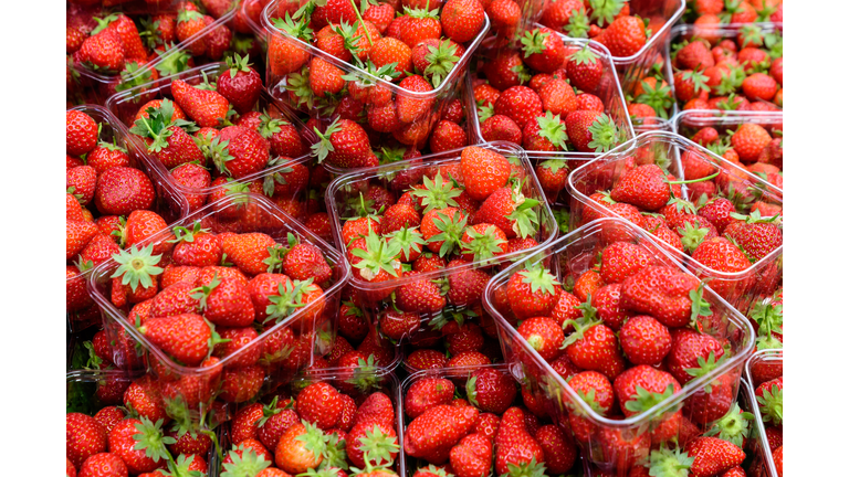 Transparent plastic boxes with fresh organic strawberries in display at a street food market