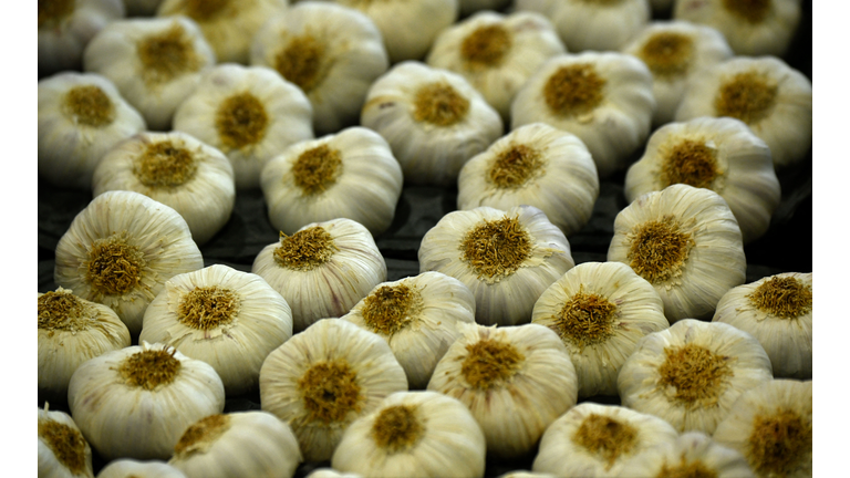 GERMANY-AGRICULTURE-FAIR-FRUIT-LOGISTICA
