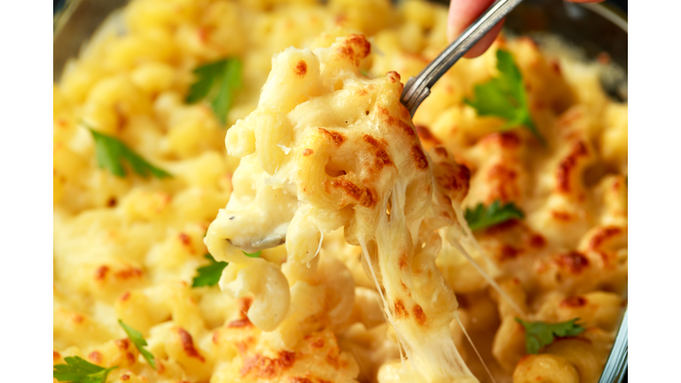 macaroni pasta and cheese bake with creamy bechamel sauce