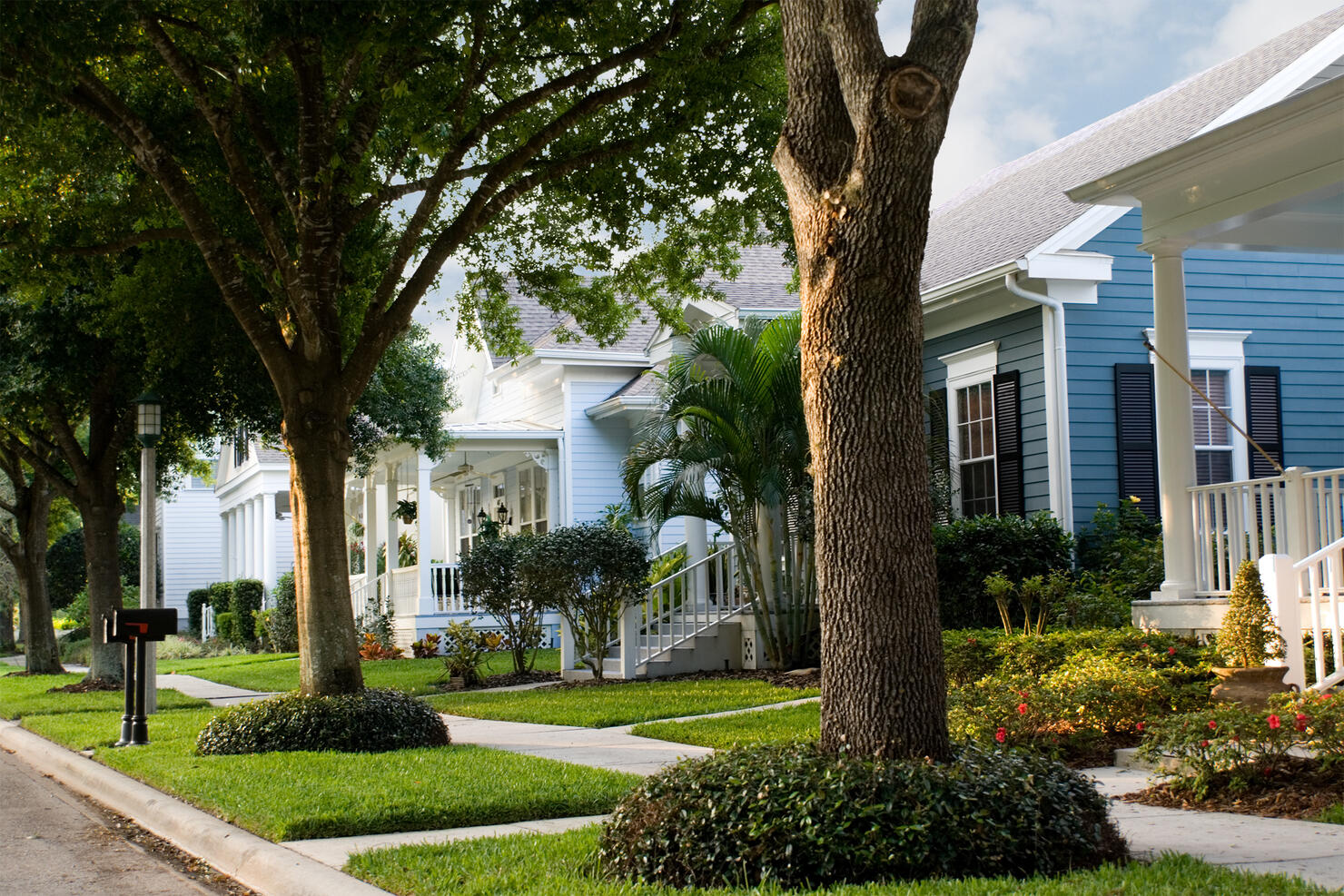 Quiet, suburban street in a small town 