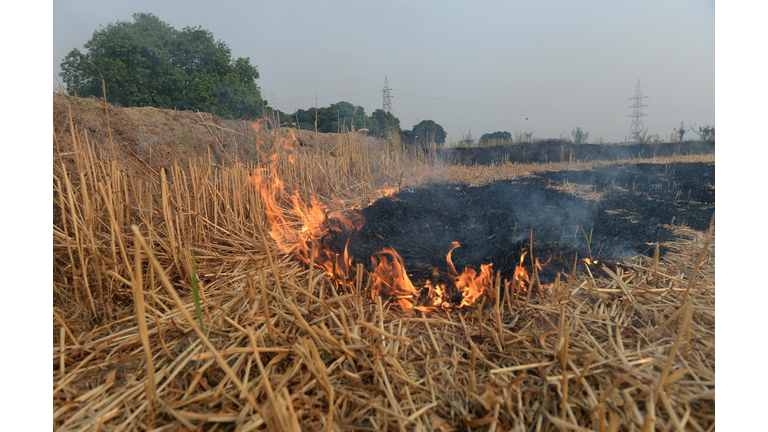 INDIA-ENVIRONMENT-POLLUTION