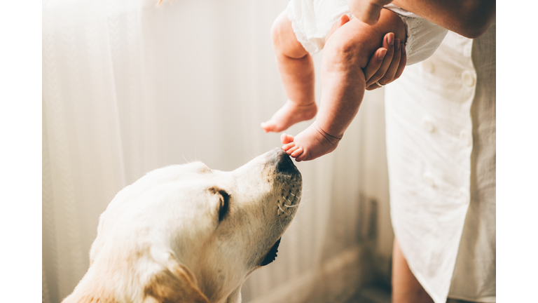 mother with a baby girl and Labrador