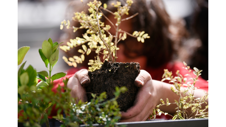 KOSOVO-ENVIRONMENT-EARTH-DAY