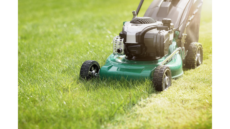 Mowing the grass