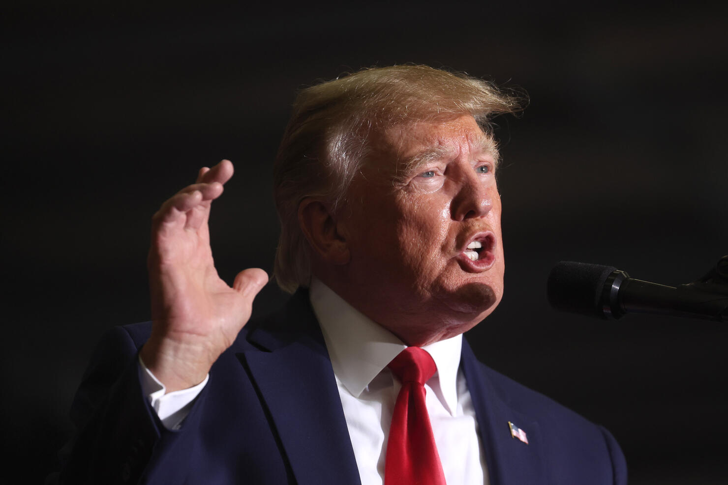 Former President Trump Holds Campaign Rally With Michigan Political Candidates