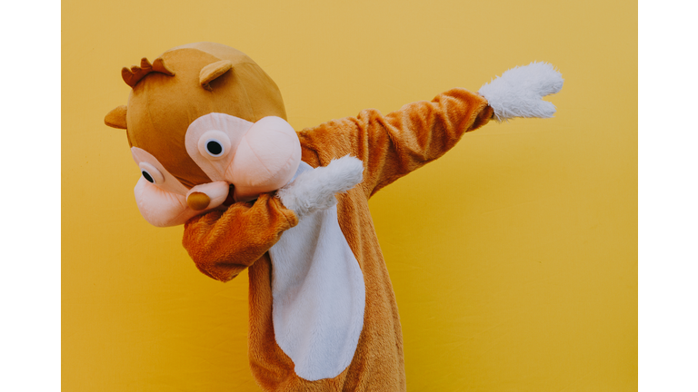 Close-Up Of Squirrel Gesturing Against Yellow Background