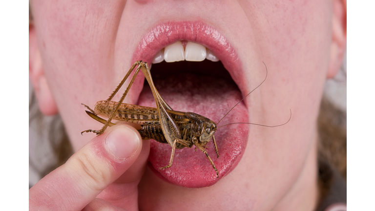 bug in mouth
