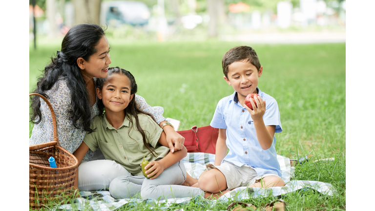 Family sitting on a picnic