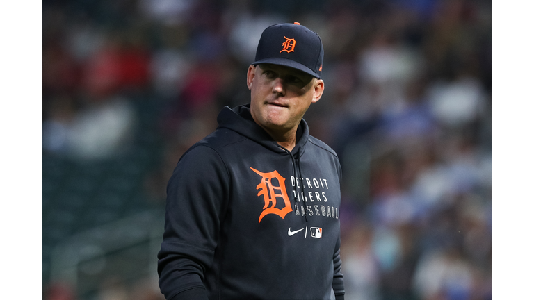 Detroit Tigers v Minnesota Twins