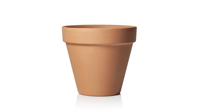 Empty flower pot