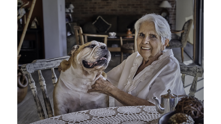 Senior Grandmother playing with her Bulldog pet