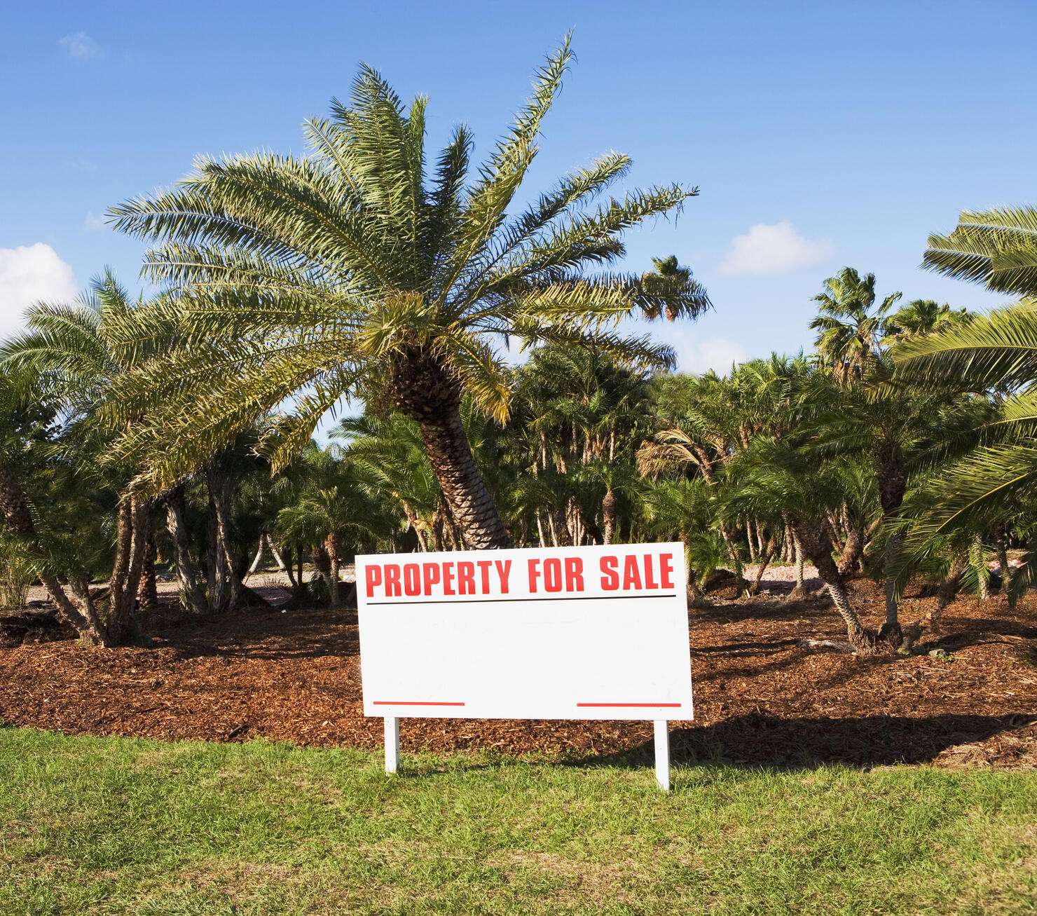 Property for sale sign