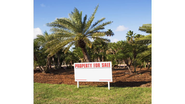 Property for sale sign