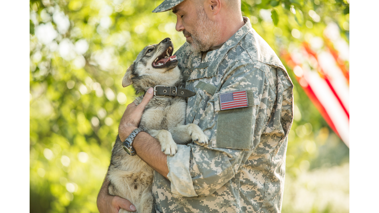 Soldier with military dog outdoors