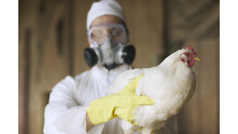 Militant Islam, Avian Flu & Energy