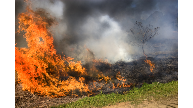 Queensland grass fire