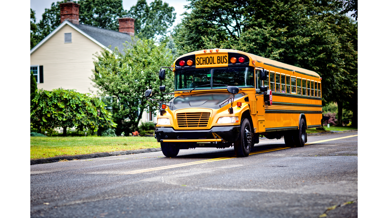 School bus