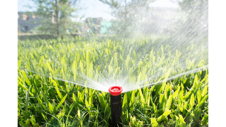 Sprinkler in the garden