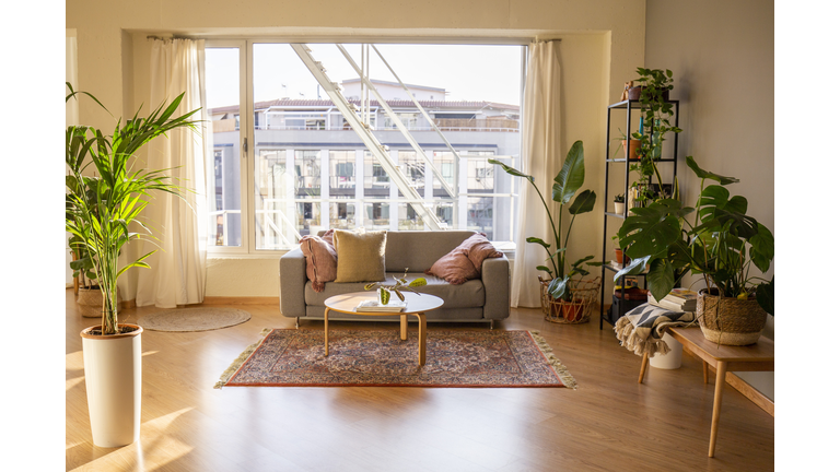 Living room at a fashionable loft. Wooden floor and furniture. Grey cozy sofa, carpet and a lot of plants