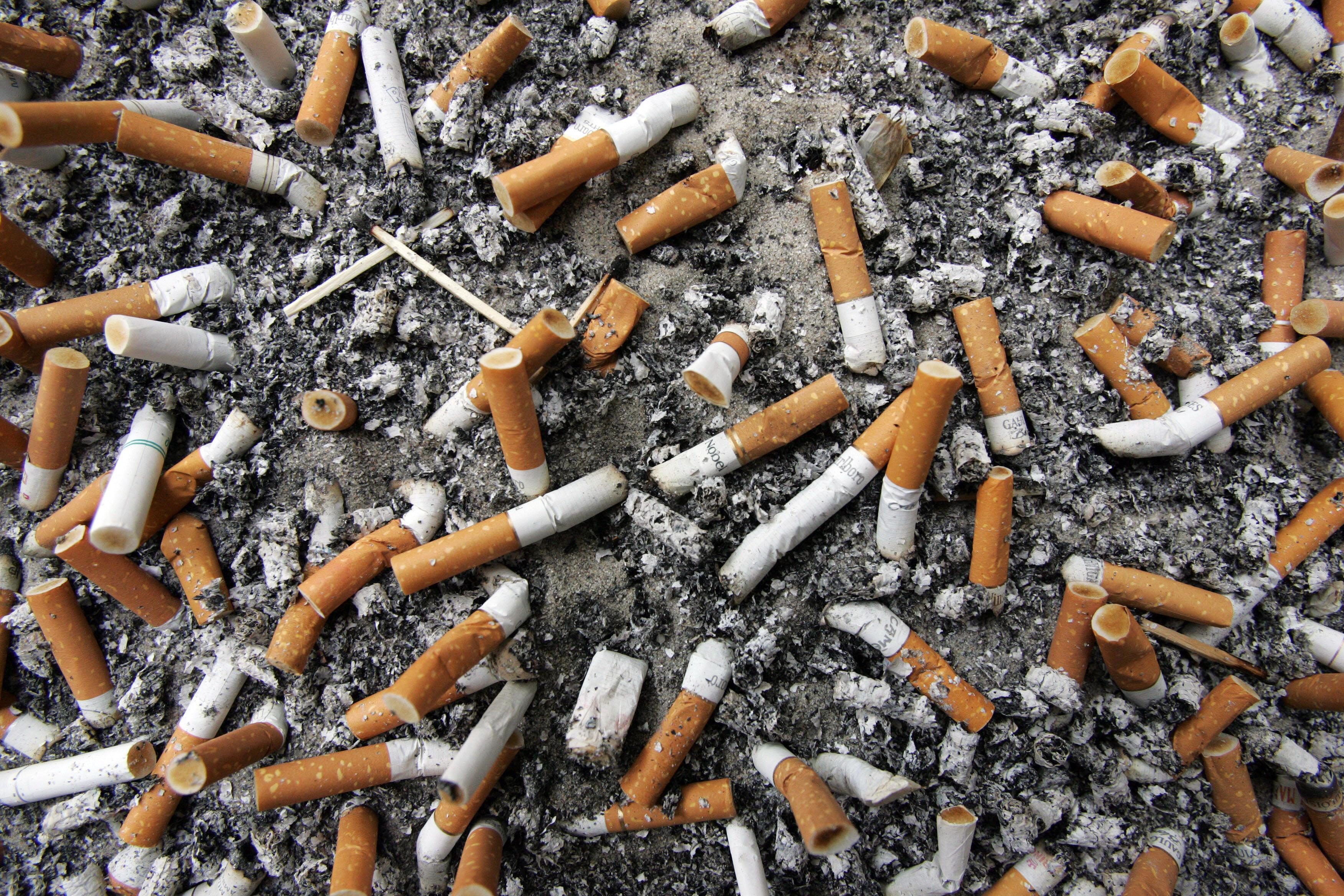 do dollar tree sell cigarettes 1 dollar store + carries Cigarettes