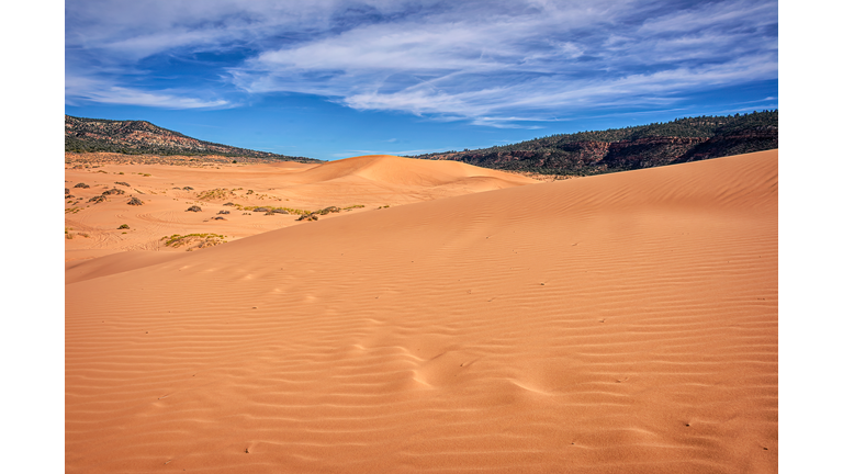 Footprints in the pink coral sand dunes in Coral Pink Sand Dunes State Park, Utah, USA