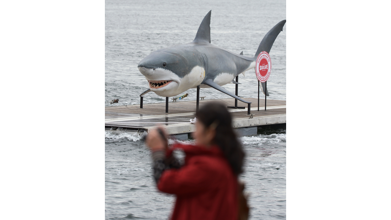 AUSTRALIA-NATURE-TOURISM-SHARK