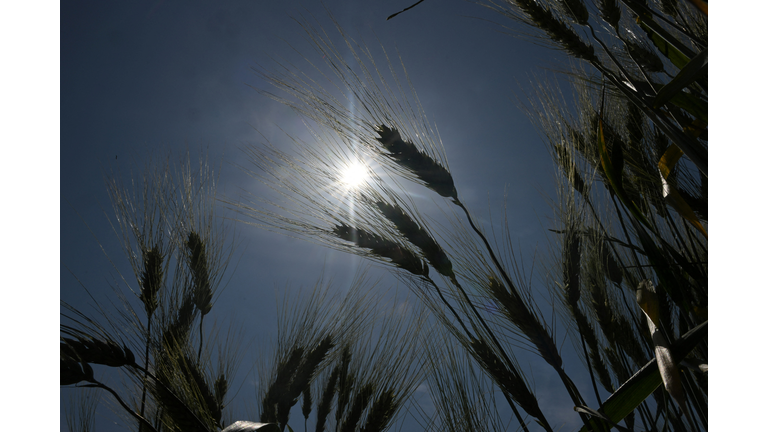 FRANCE-WEATHER-HEAT-DROUGHT