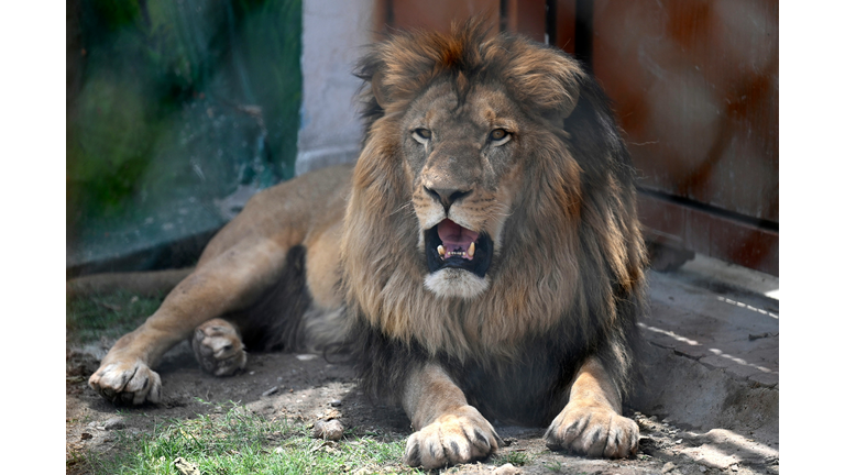 PAKISTAN-WEATHER-HEAT-ANIMAL