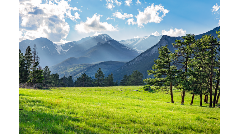 Meadow in Rocky Mountain National Park