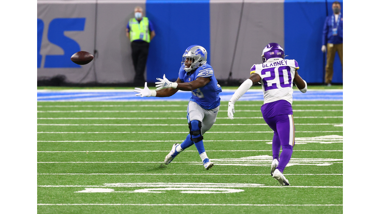 Minnesota Vikings v Detroit Lions