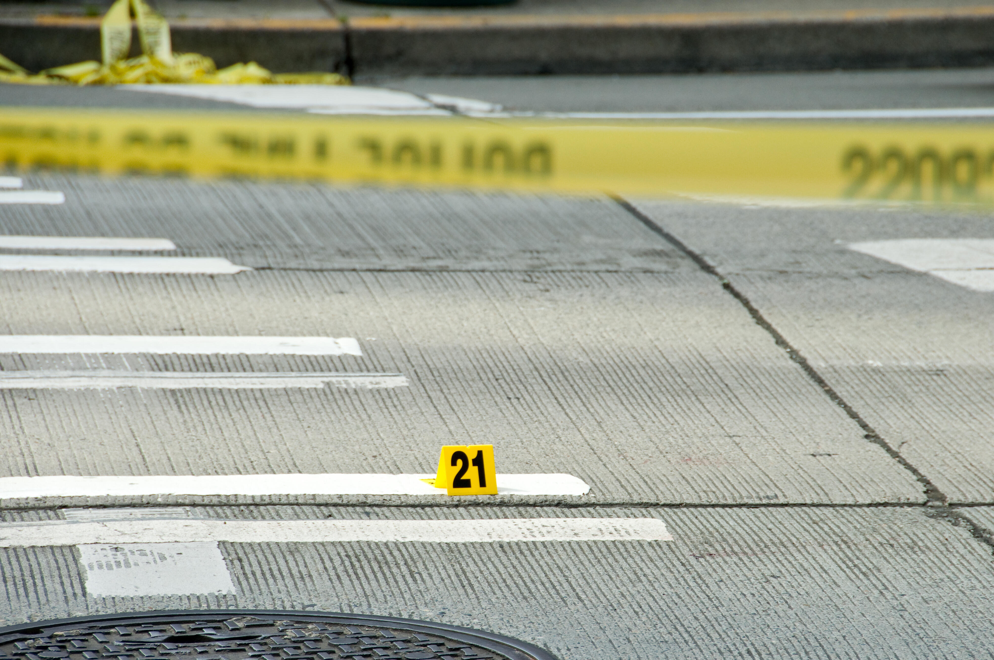 Man Dies After Getting Hit By Car While Helping Ducks Cross The Road ...