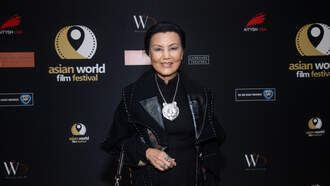 Kieu Chinh: Her Journey From Refugee to Hollywood Actress 