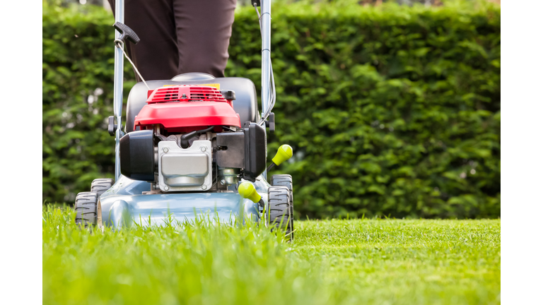 Mowing the grass