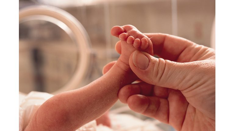 small premature baby lies in an incubator a grown hand reaches in grasping the foot in caring manner