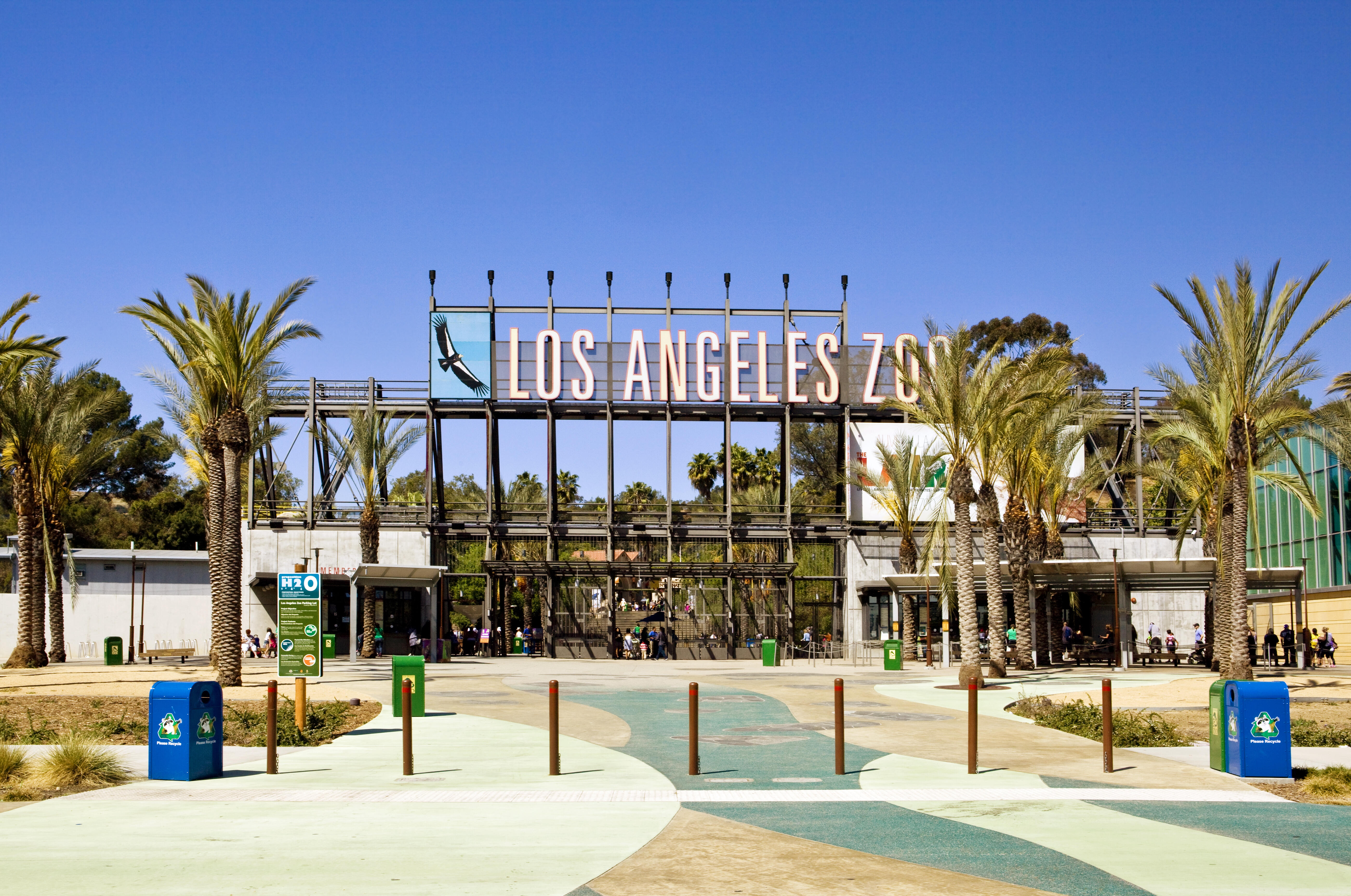 City Council OKs LA Zoo Vision Plan To Guide Physical Transformation Of   629fe3b96999cfbe7e7925c4