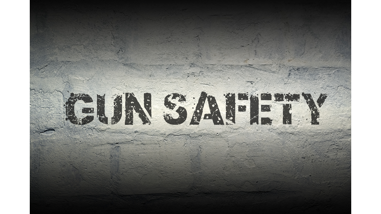 gun safety gr