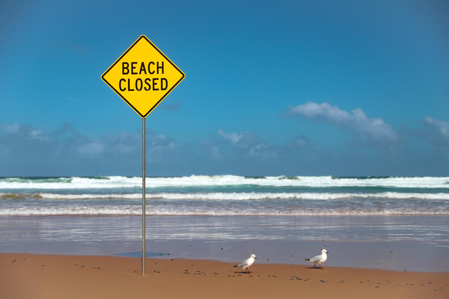 Beach Closed Warning Sign On An Empty Beach