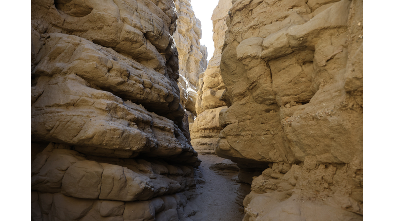 California's Anza-Borrego Desert State Park Threatened By Climate Change