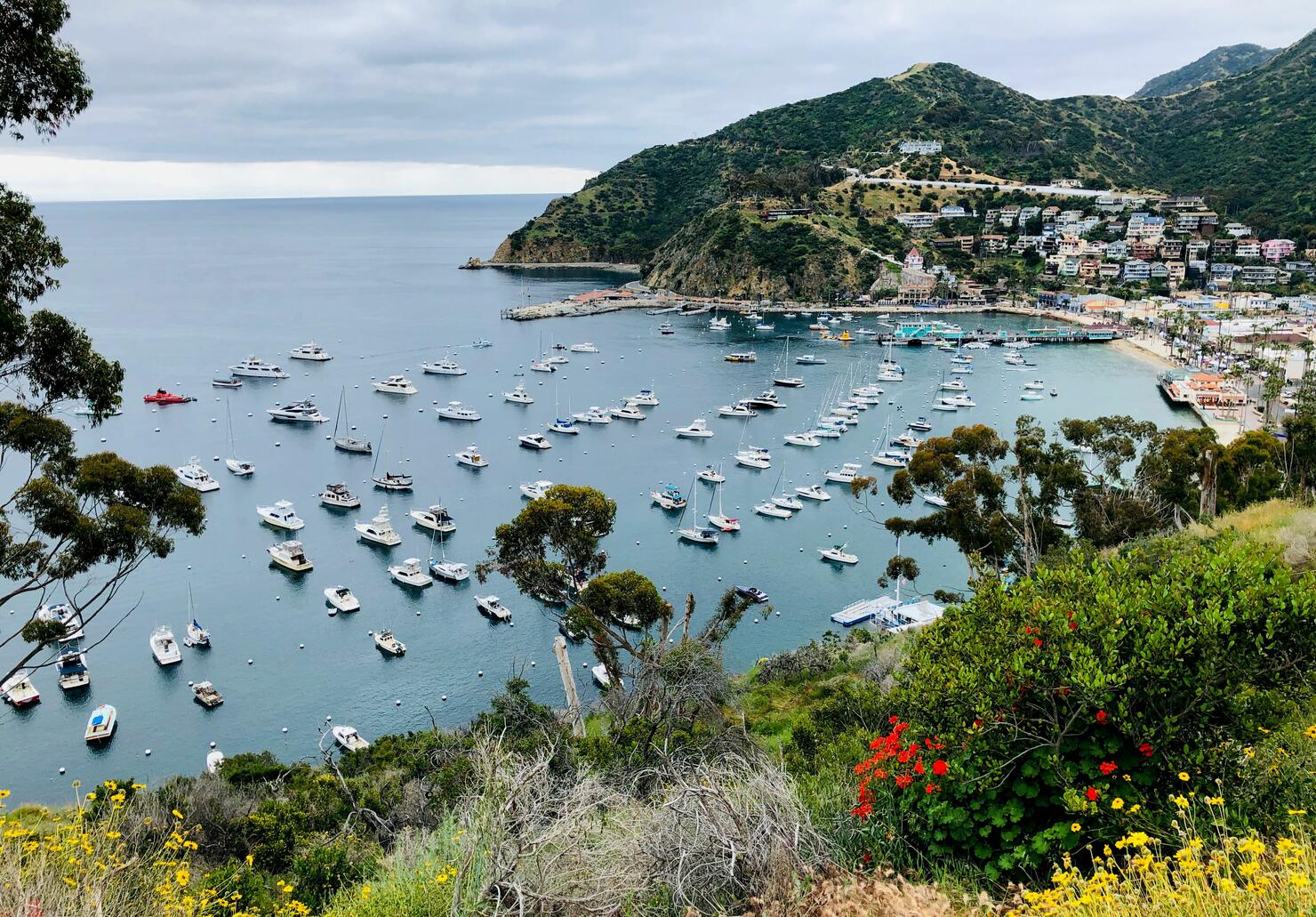 US-TRAVEL-CATALINA-TOURISM