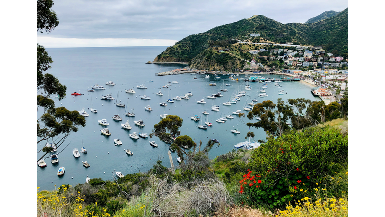 US-TRAVEL-CATALINA-TOURISM
