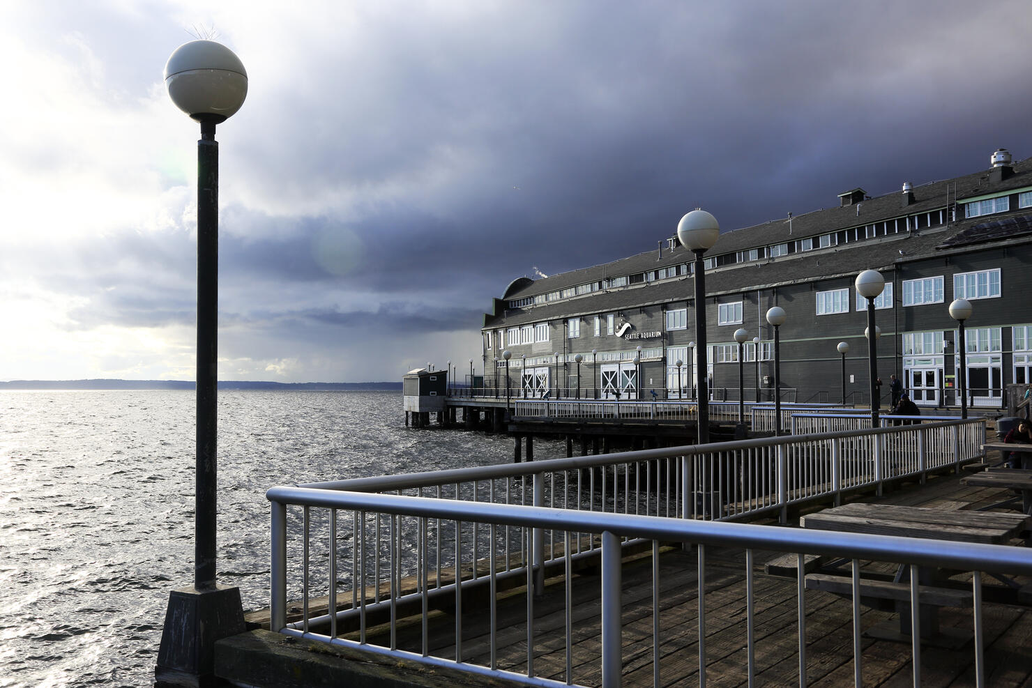 Pier 59 and Seattle Aquarium
